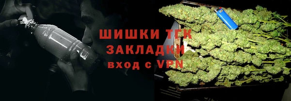 бошки Верхний Тагил