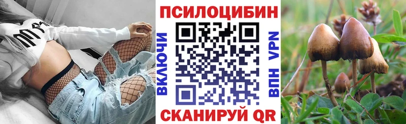 Купить где  Усинск  Псилоцибиновые грибы Cubensis 